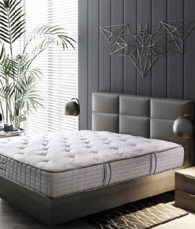 NỆM BÔNG SÔNG HỒNG CAO CẤP BACK ESSENTIAL